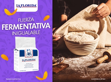 Levadura seca
