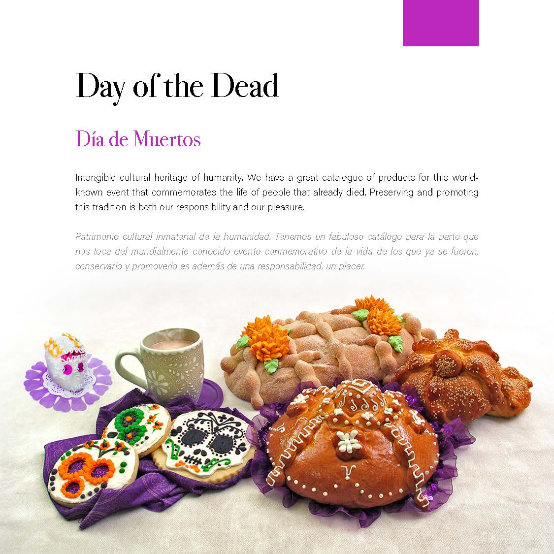 Grupo la florida internacional / Products catalogue