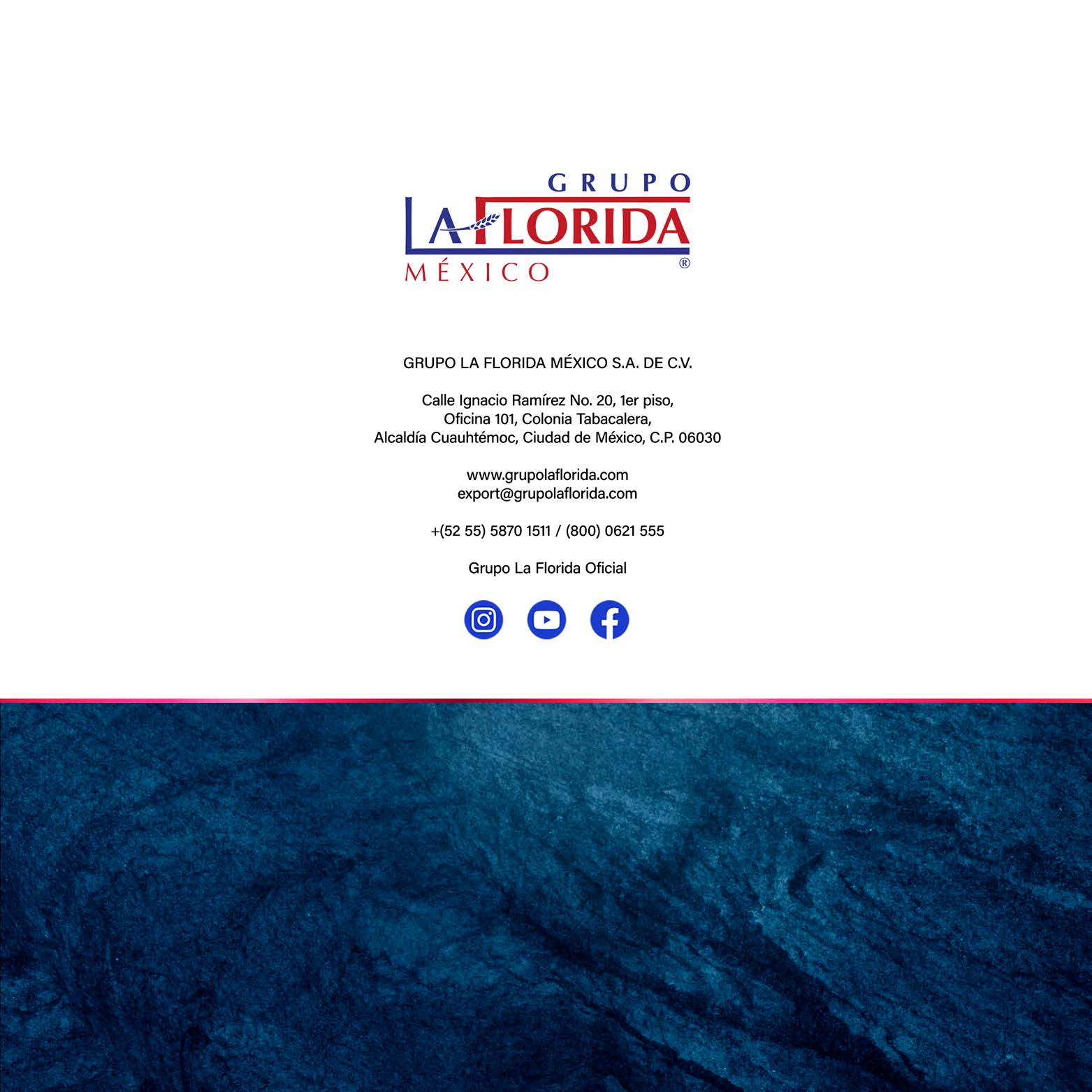 Grupo la florida internacional / Products catalogue