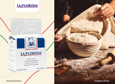 Levadura seca