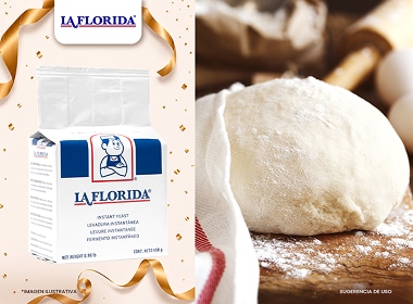 Levadura seca