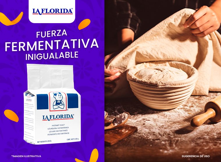 Levadura seca